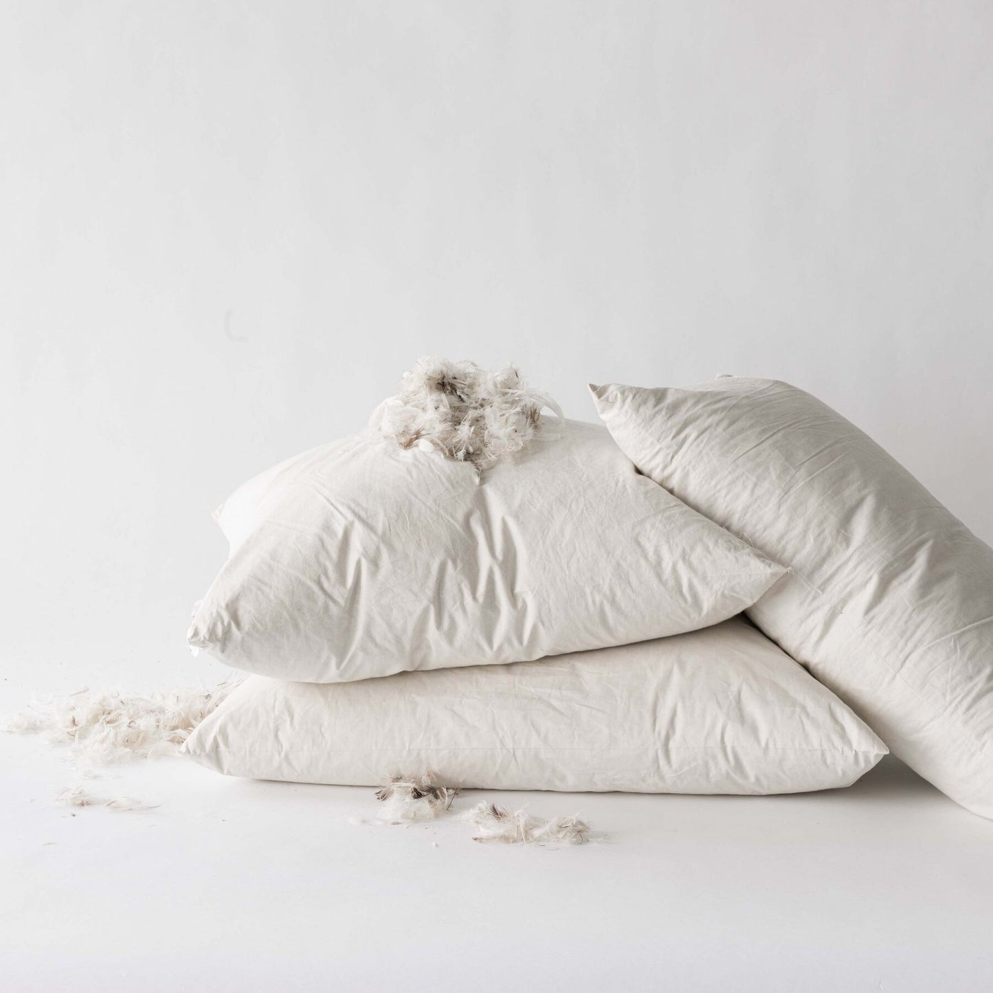 coussin de garnissage blanc en plume 50x70cm - maison gabin décoration