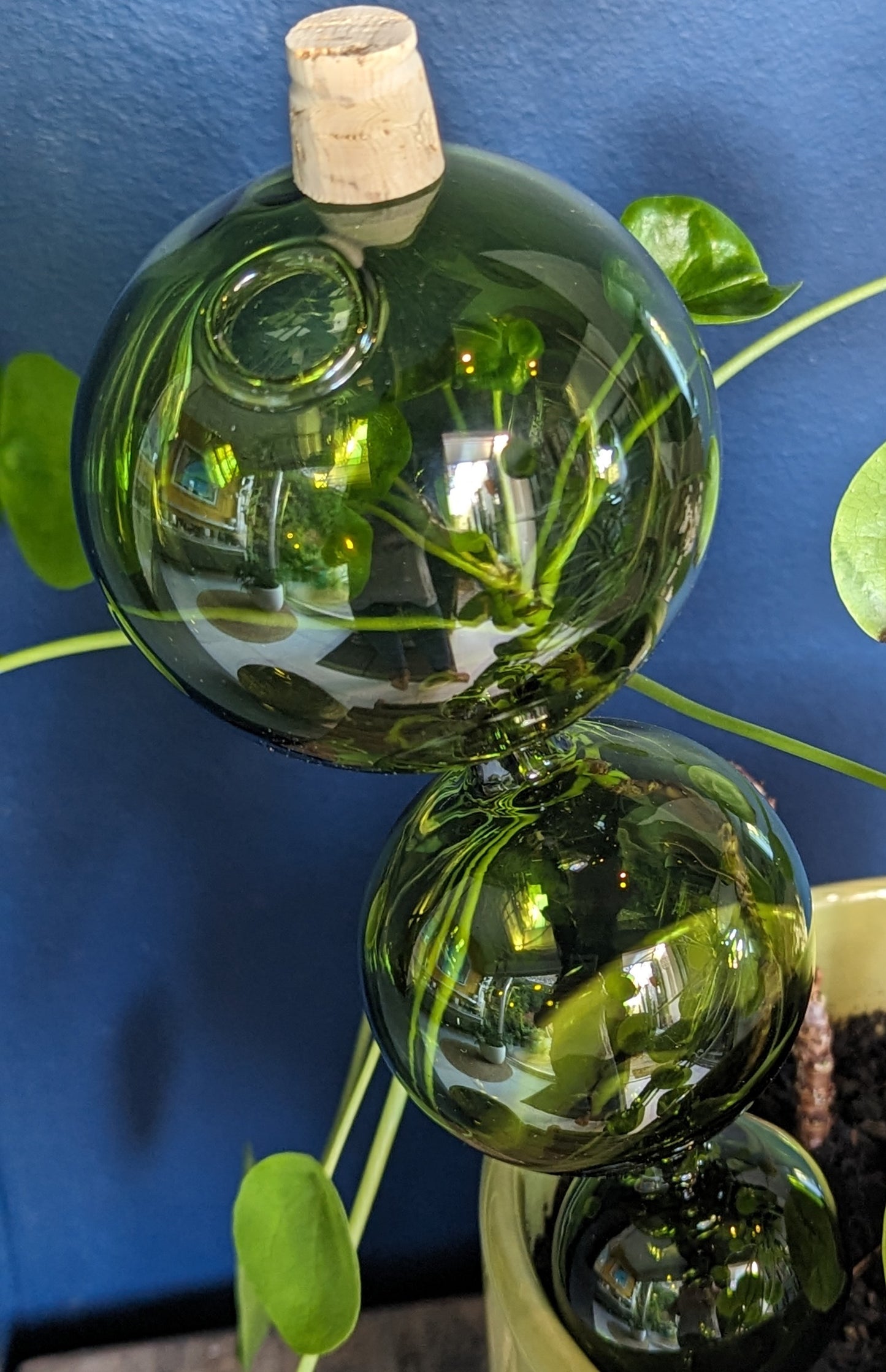 bulle d'arrosage en verre 3 bulles - maison gabin décoration