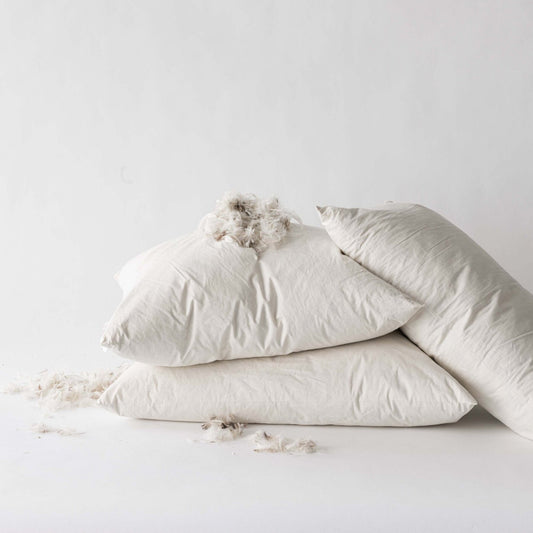 coussin de garnissage blanc en plume 50x70cm sans housse