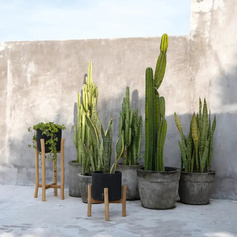 Jardinière terre cuite noir naturel S

Petit cache-pot artisanal noir

Décoration intérieure contemporaine
