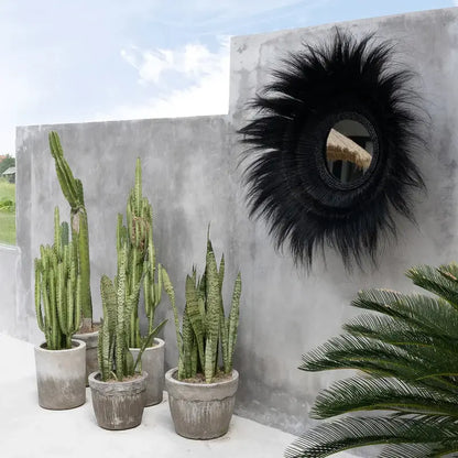 Miroir Sunken Forest noir design

Décoration intérieure contemporain

Boutique déco en ligne