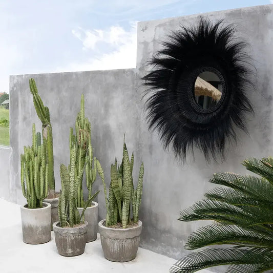 Miroir Sunken Forest noir design

Décoration intérieure contemporain

Boutique déco en ligne