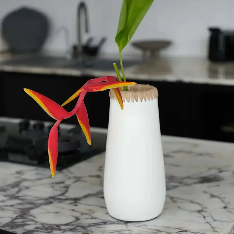 Vase élégant minimaliste taille L

Boutique déco en ligne
